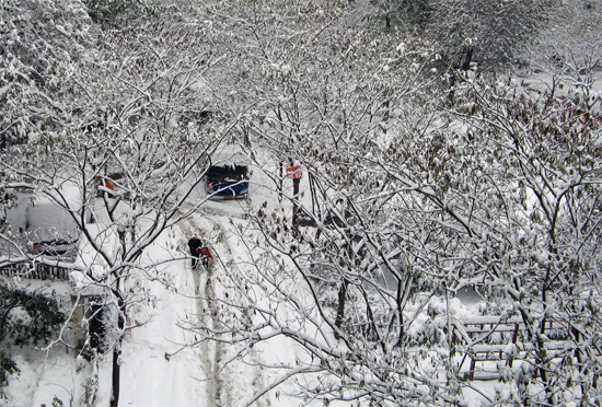 2009年的第一场雪 